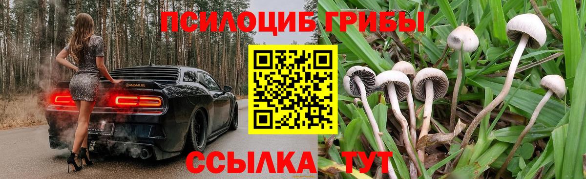 Шелехов  Галлюциногенные грибы прущие грибы  Вход с VPN  Галлюциногенные грибы GOLDEN TEACHER 