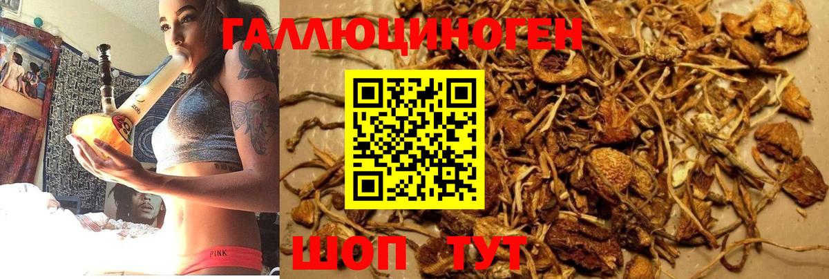 Галлюциногенные грибы GOLDEN TEACHER Шелехов
